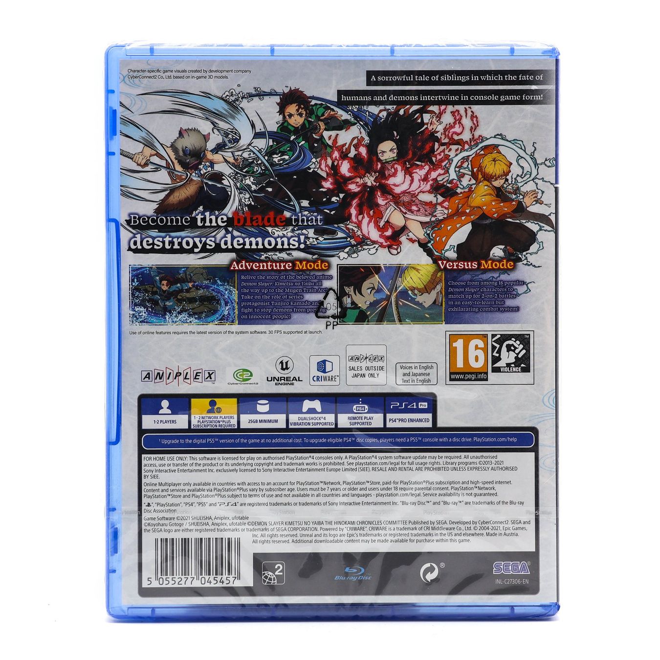 Demon Slayer: The Hinokami Chronicles - Vue 2