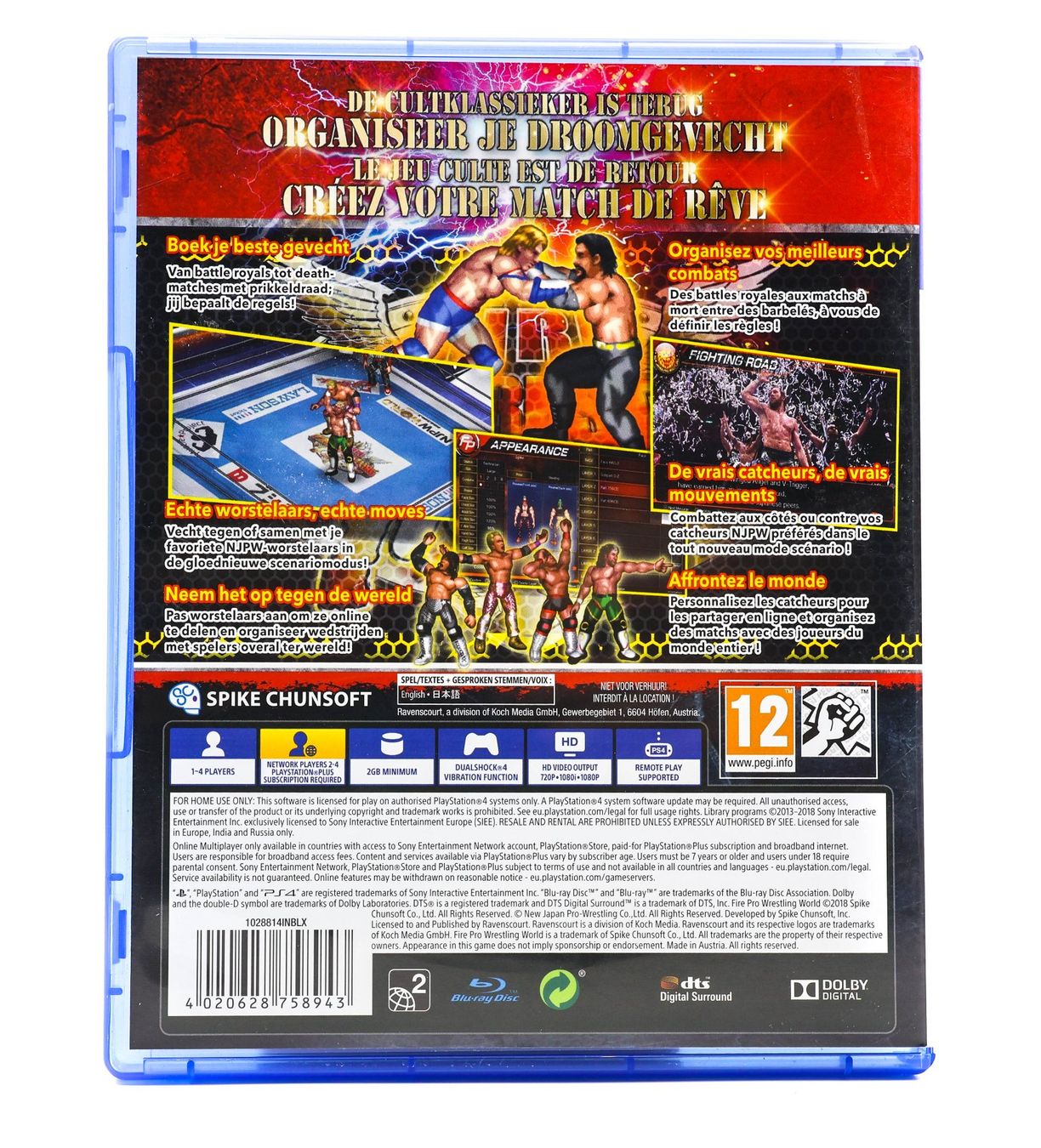 Fire Pro Wrestling World - Vue 2