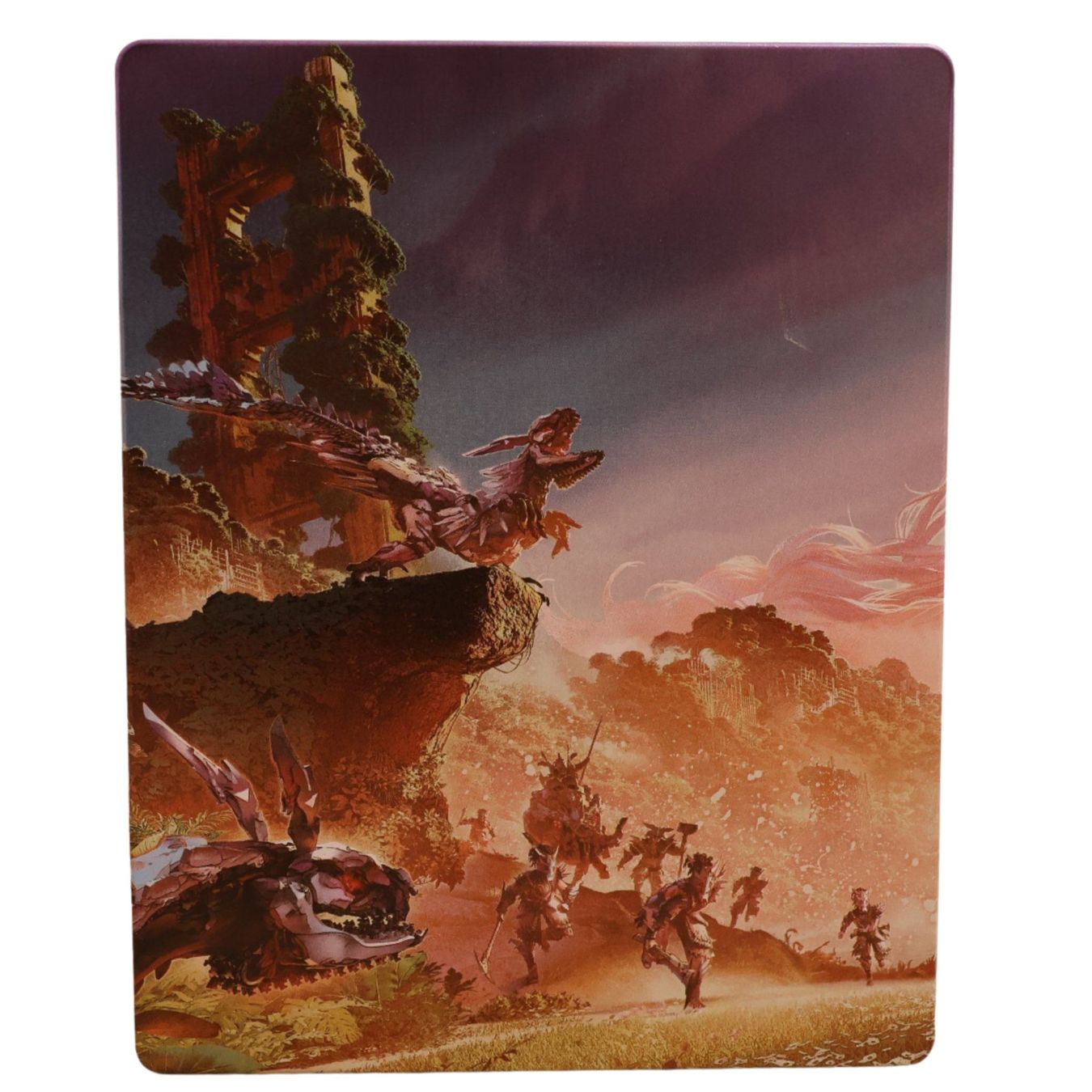 Horizon Forbidden West [Special Edition] - Vue 6