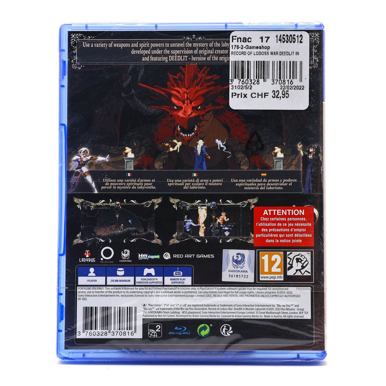 Record of Lodoss War: Deedlit in Wonder Labyrinth - Vue 2