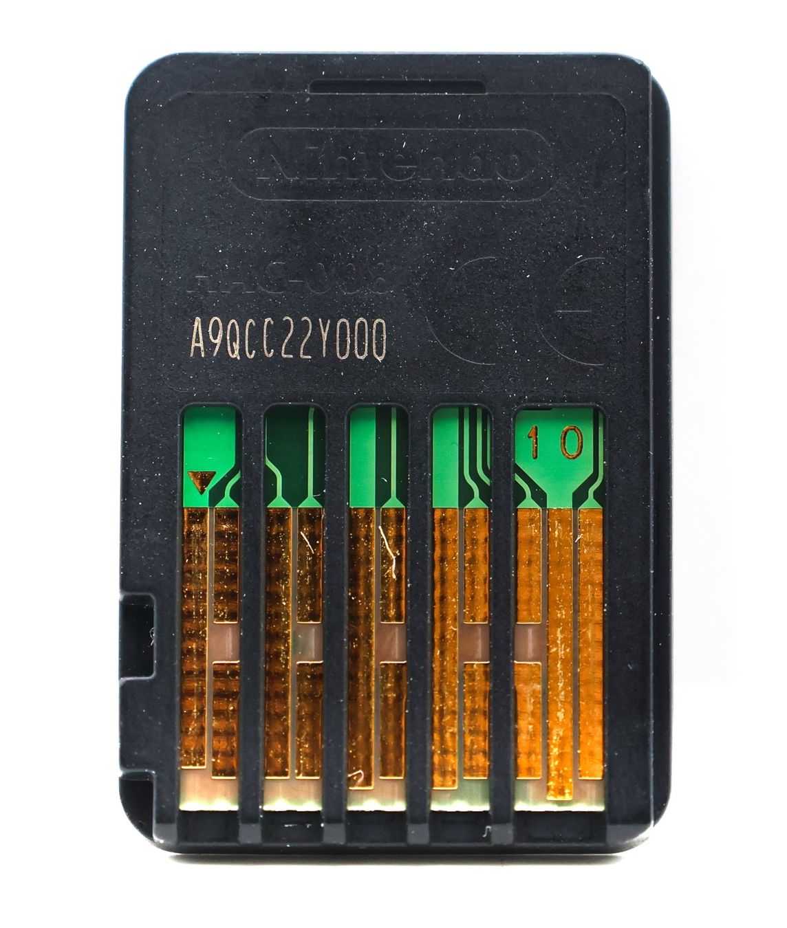 Story of Seasons: A Wonderful Life - Vue 2