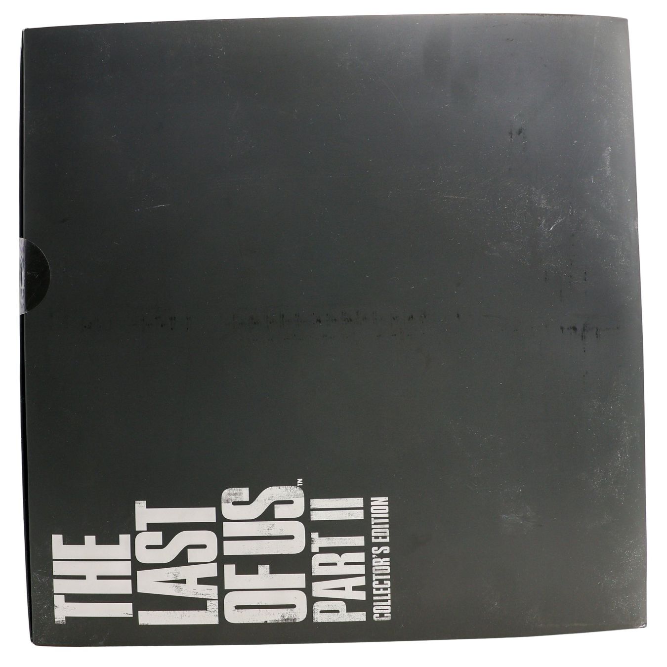 The Last Of Us Part II [Collector's Edition] - Vue 5