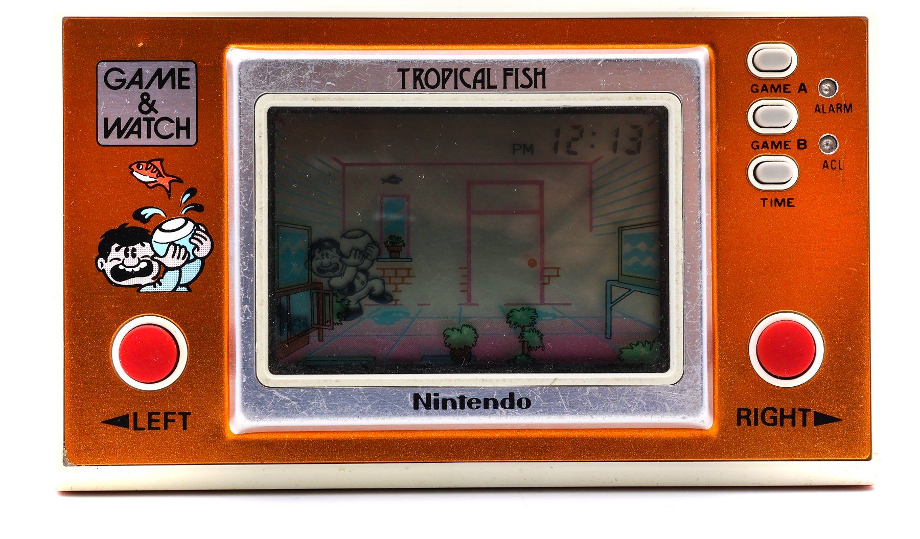 Tropical Fish [TF-104]