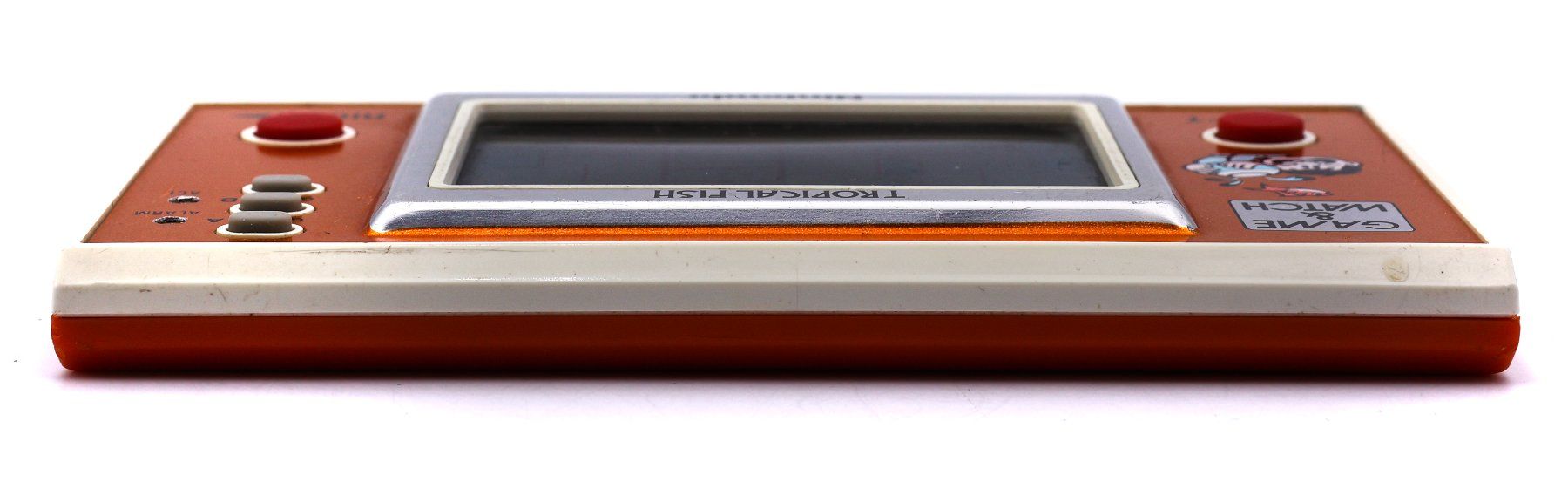 Tropical Fish [TF-104] - Vue 3