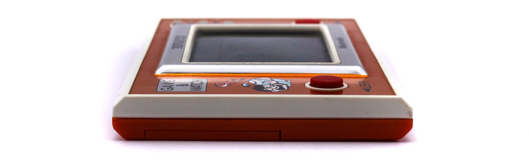 Tropical Fish [TF-104] - Vue 4