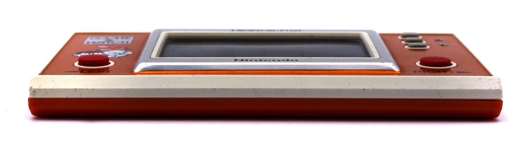 Tropical Fish [TF-104] - Vue 5