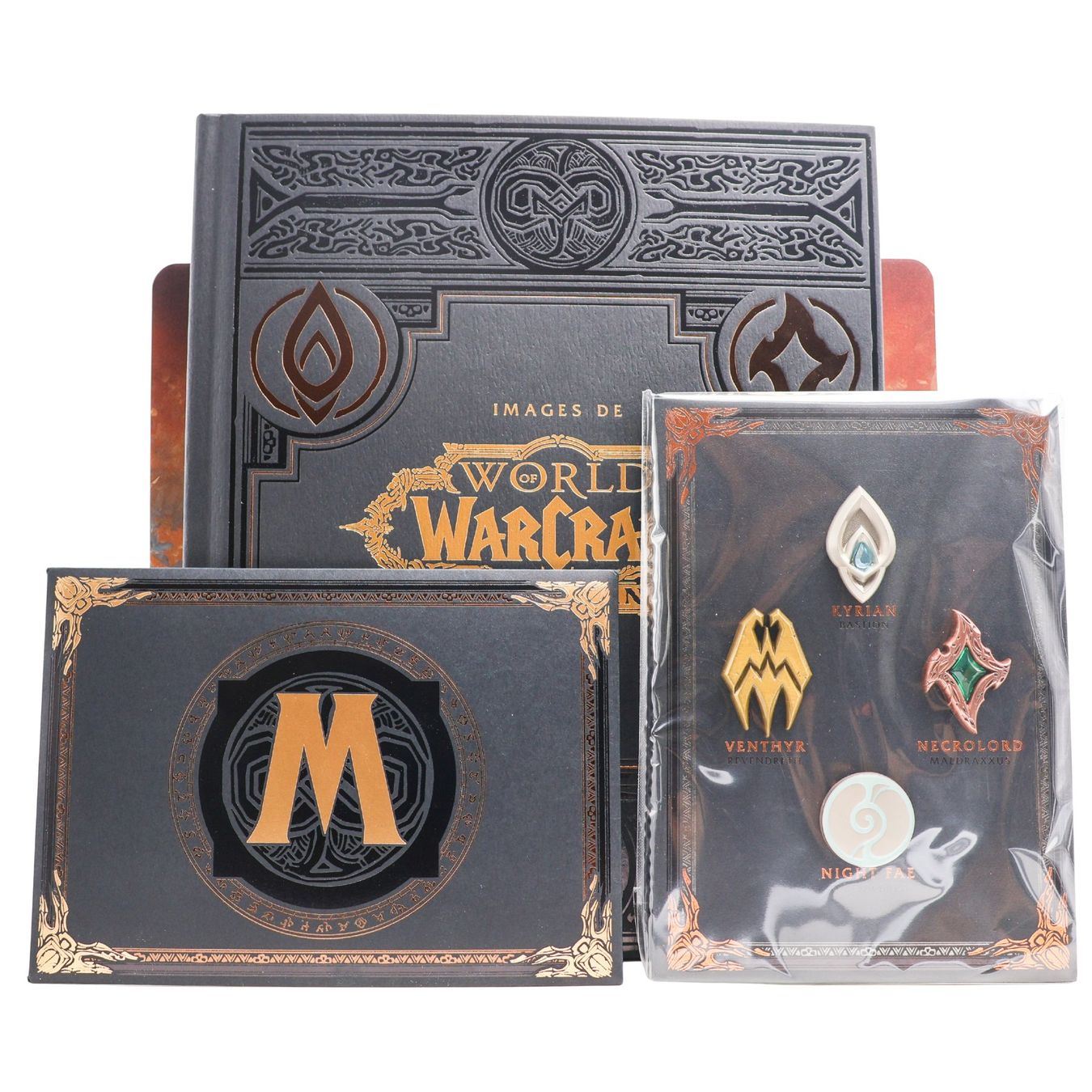 World of Warcraft: Shadowlands [Collector] - Vue 3