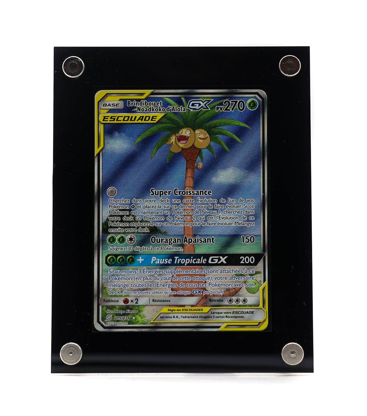 Brindibou et Noadkoko d'Alola GX
