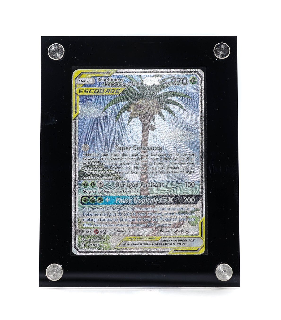 Brindibou et Noadkoko d'Alola GX - Vue 2