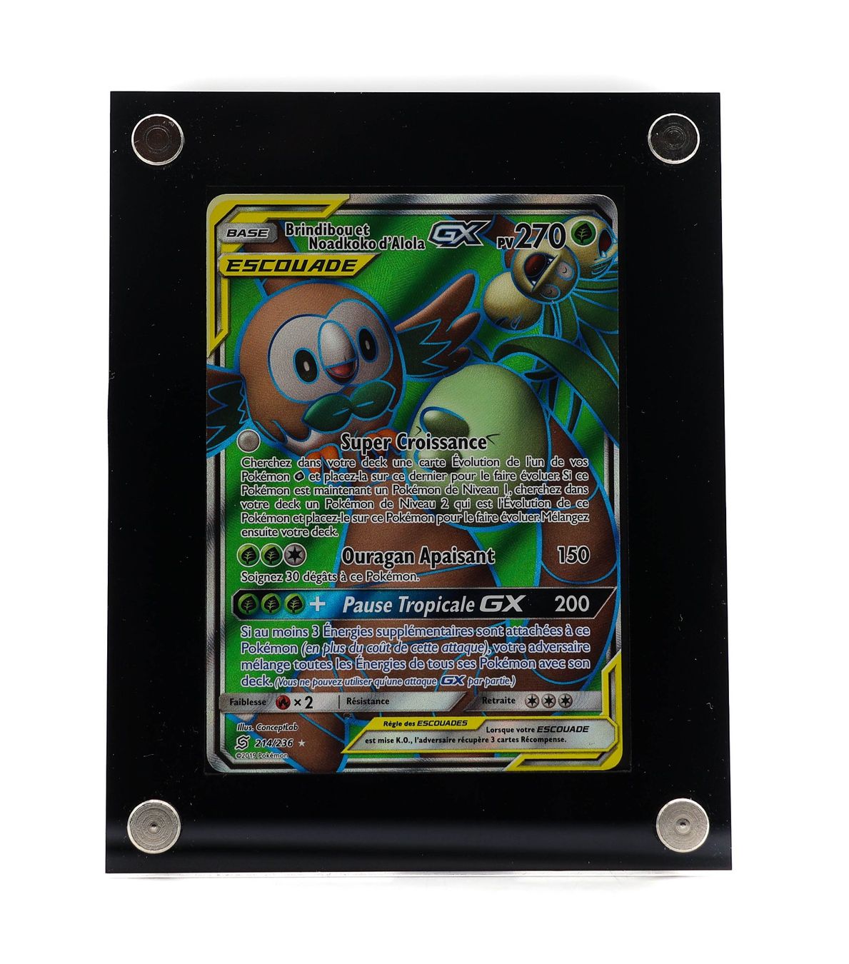 Brindibou et Noadkoko d'Alola GX
