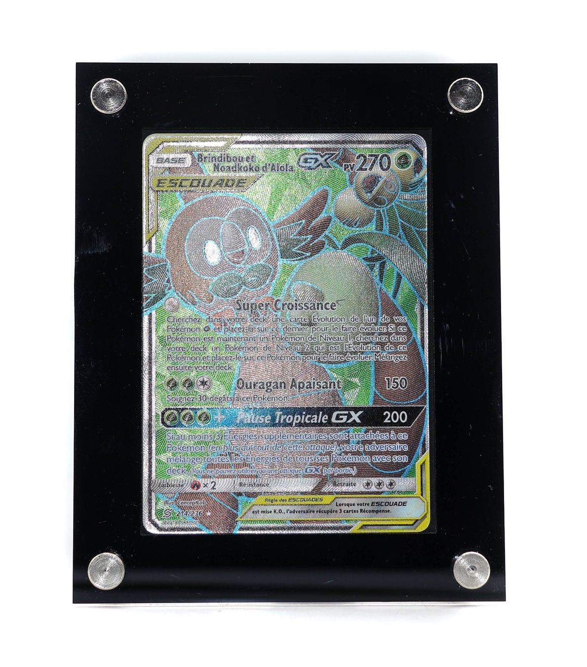 Brindibou et Noadkoko d'Alola GX - Vue 2