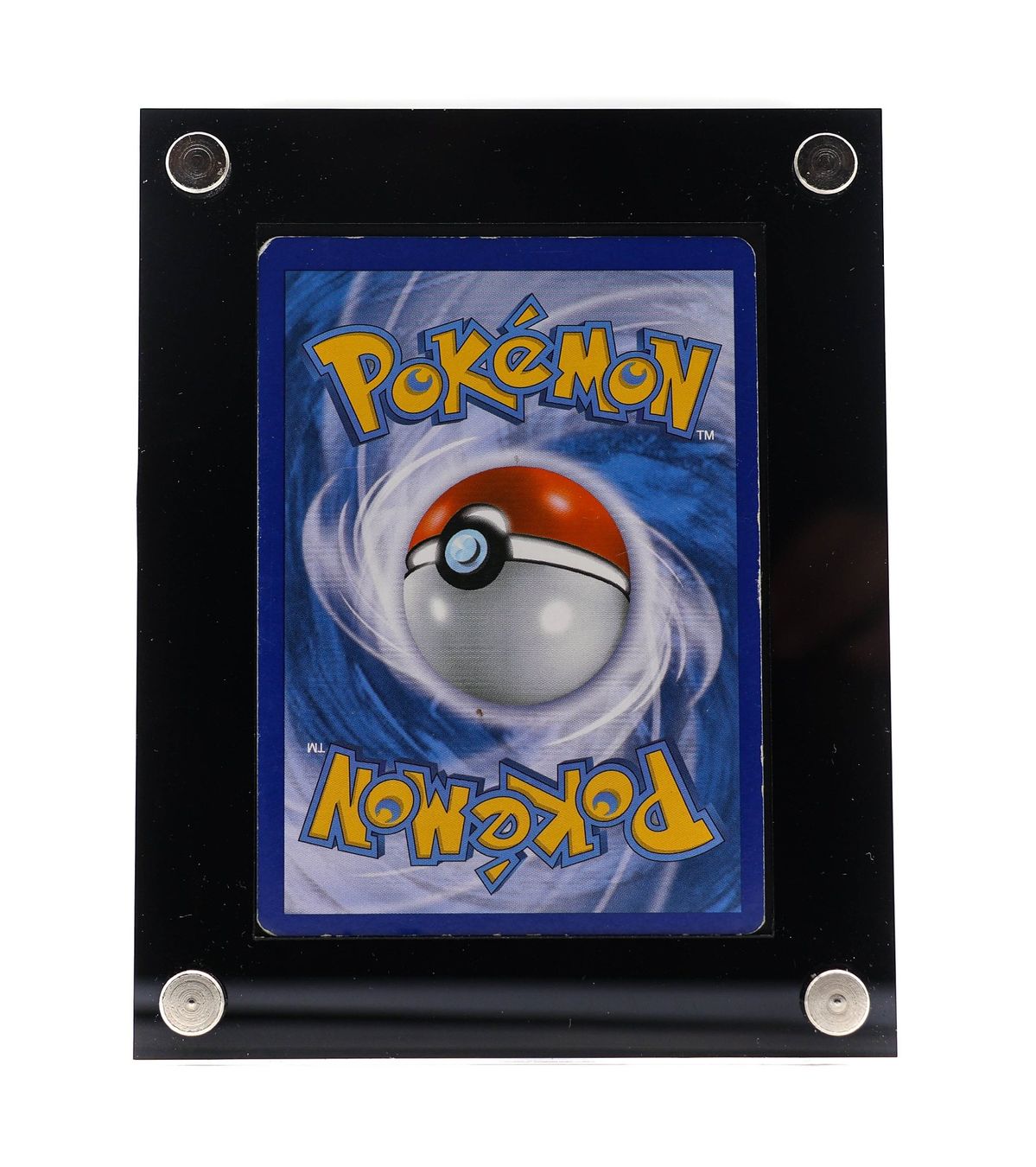 Dracolosse EX - Vue 3