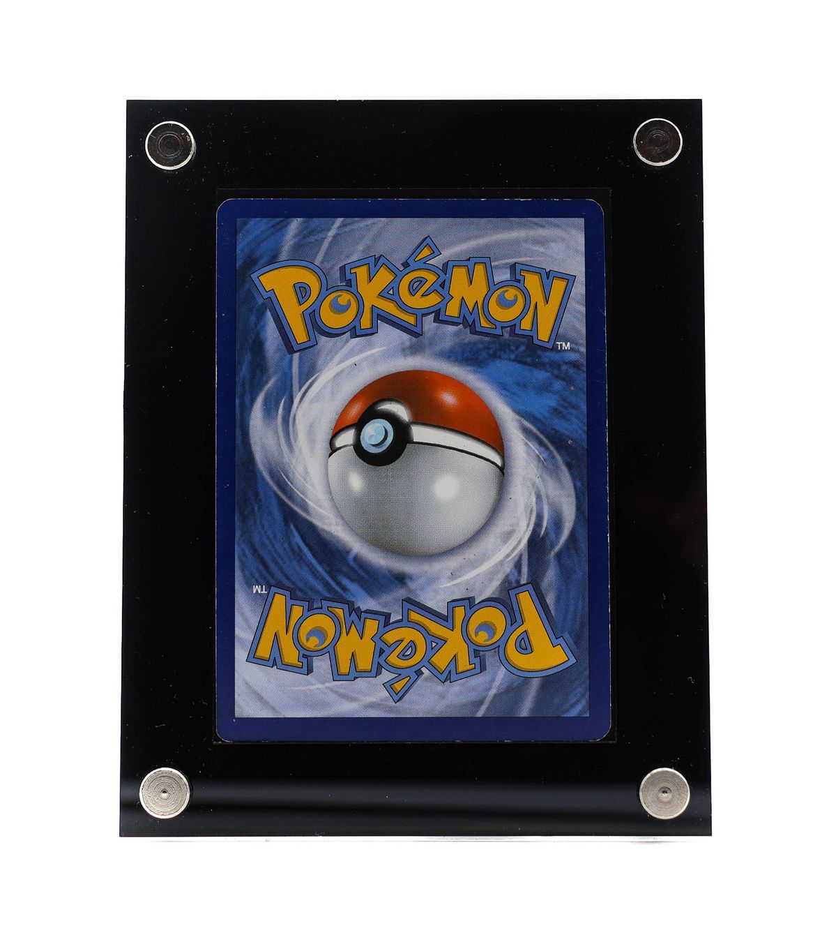 MVenusaur EX - Vue 3