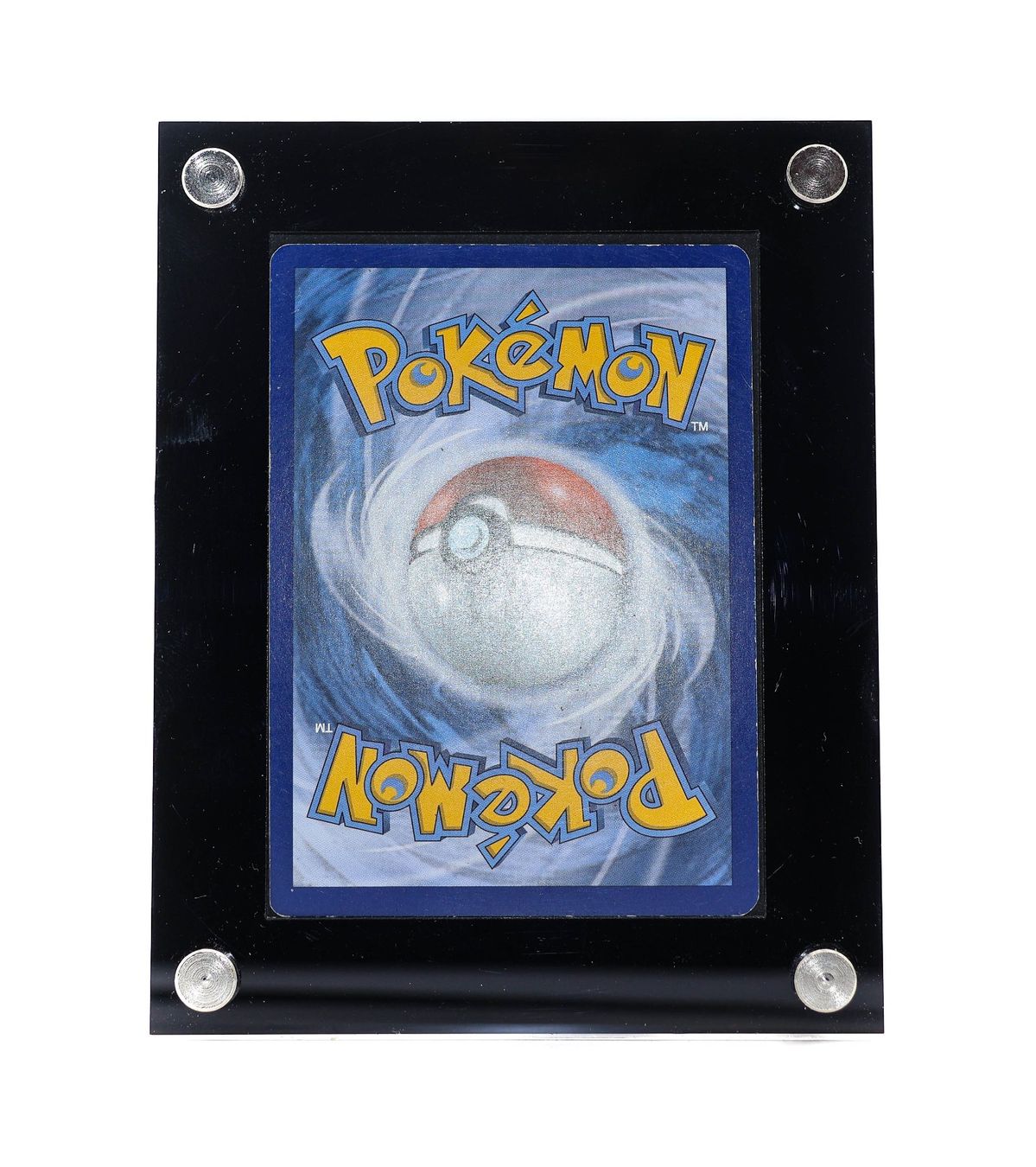 MVenusaur EX - Vue 4