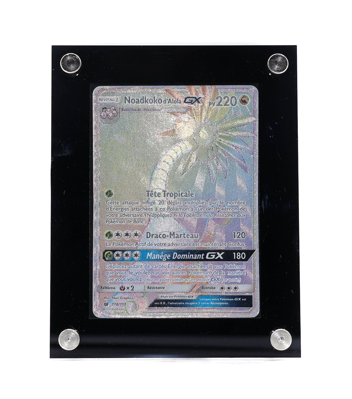 Noadkoko d'Alola GX - Vue 2