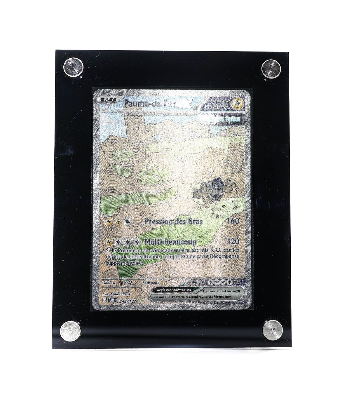 Paume-de-Fer EX - Vue 2