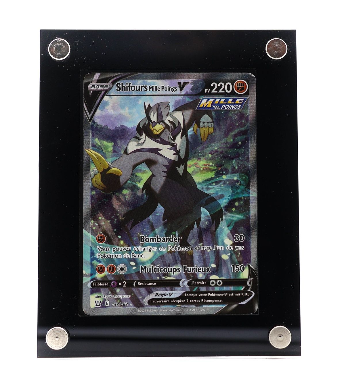 Shifours Mille Poings V