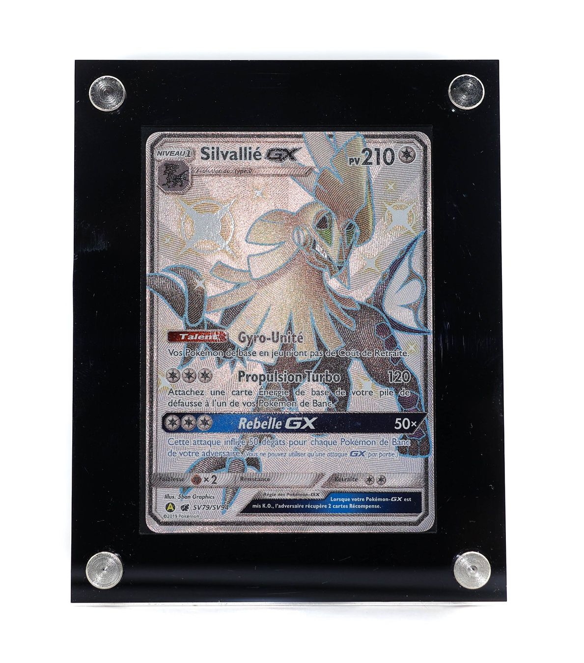 Silvallie GX - Vue 2