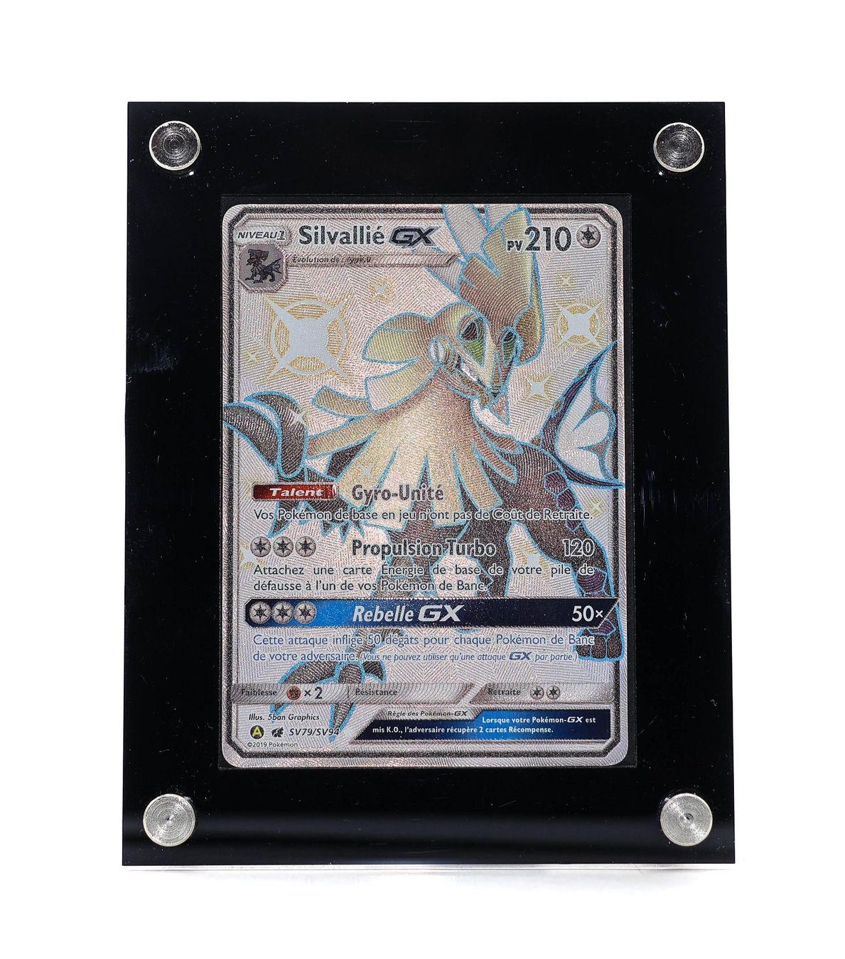 Silvallie GX - Vue 2