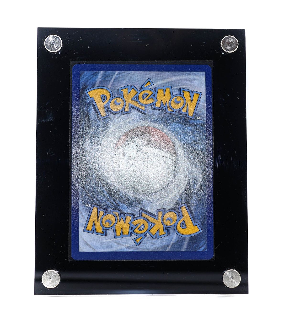 Tortank VMAX - Vue 4