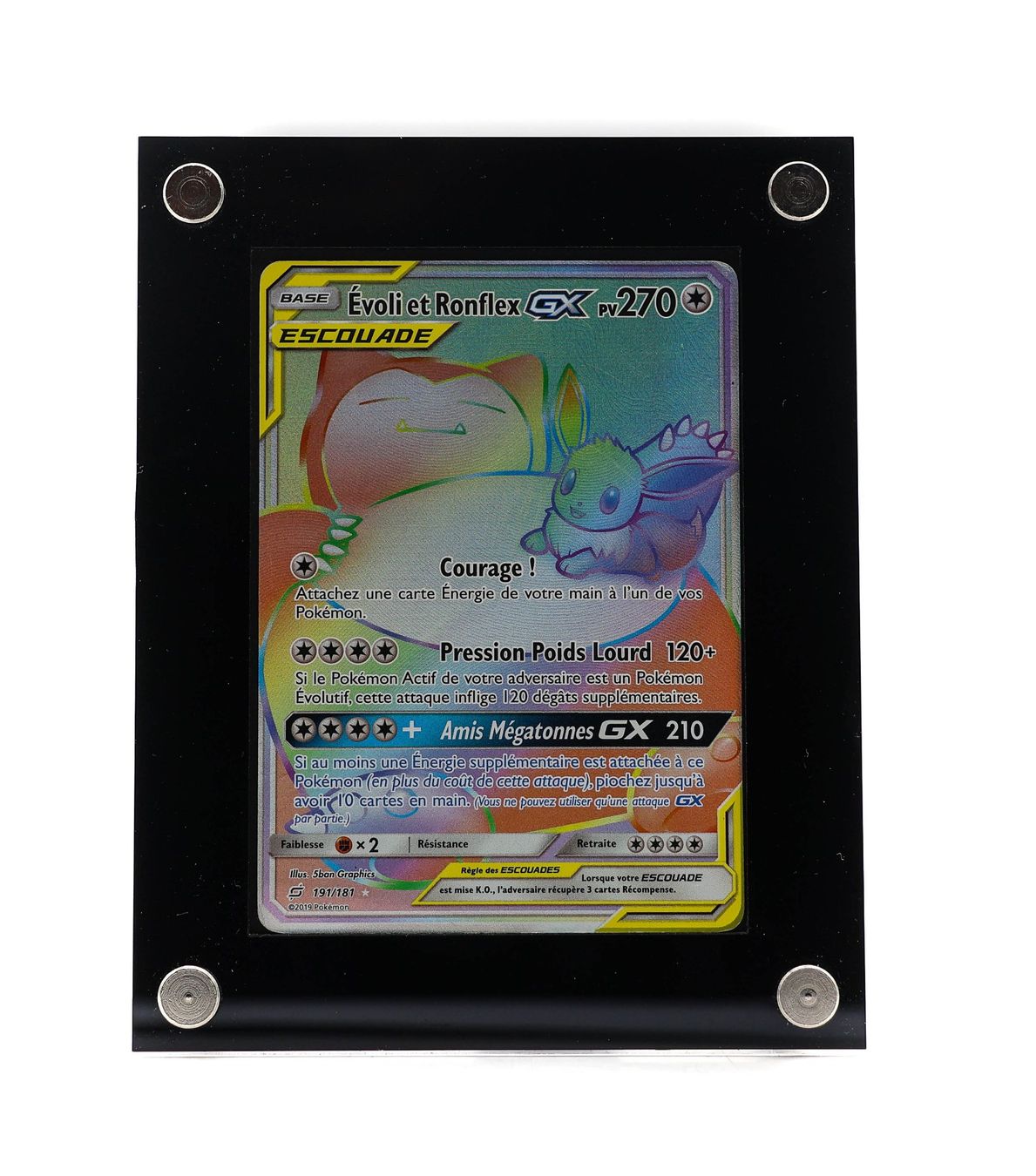 Évoli et Ronflex GX