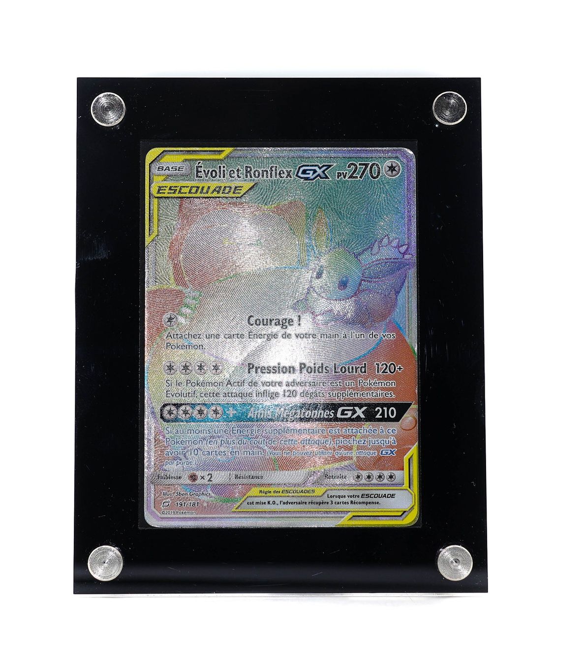 Évoli et Ronflex GX - Vue 2